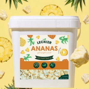gefriergetrocknete Ananas in praktischer Refill Box